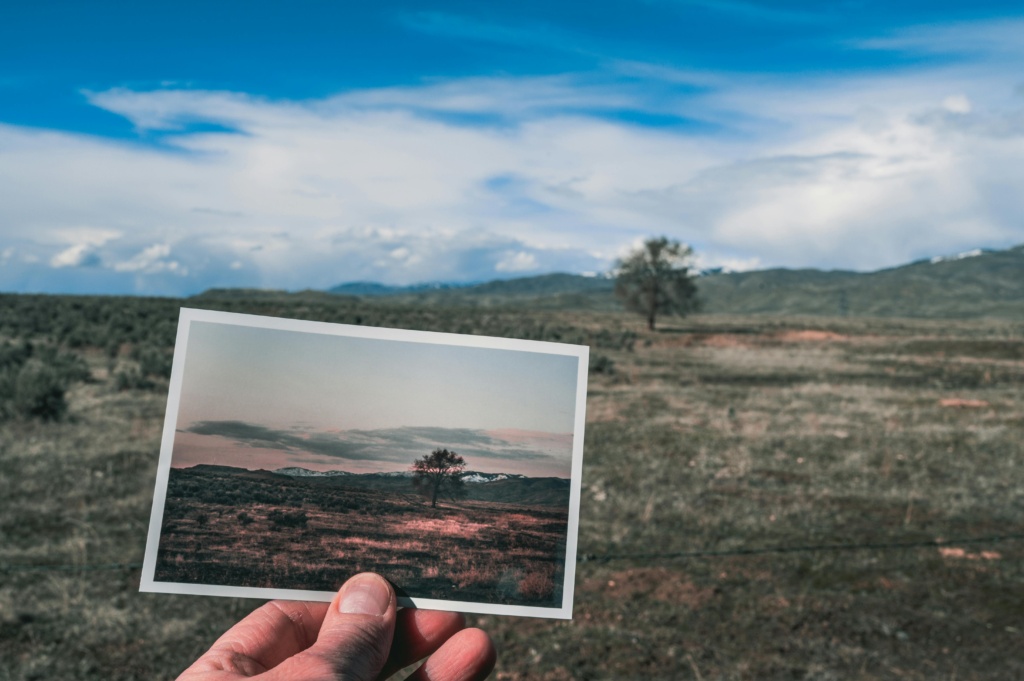 A hand holds a landscape photograph against a scenic countryside backdrop, showcasing artistic contrast.
